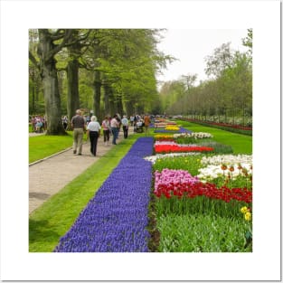 Keukenhof Tulip Festival, Holland Posters and Art